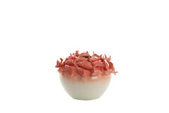 Vase deco Ø40x27 cm FISH ceramics coral+cream