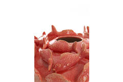 Vase deco Ø40x27 cm FISH ceramics coral+cream