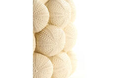 Vase deco Ø20,5x18 cm SEA URCHIN cream