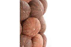 Vasija adorno Ø25x40 cm SEA URCHIN rojo coral+burdeos