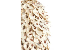 Vase deco Ø20x21 cm UBATE bamboo+shell cream+brown