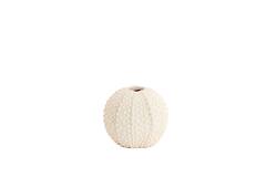 Vaas deco Ø16x14 cm SEA URCHIN crème
