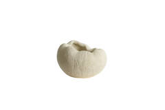 Vase deco 52,5x42,5x34 cm DENISA cream