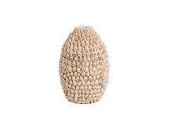 Vase deco Ø19x28,5 cm SHELL cream+brown