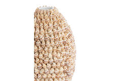Vase deco Ø19x28,5 cm SHELL cream+brown