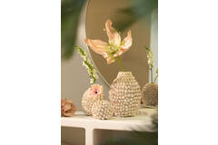 Vase deco Ø19x28,5 cm SHELL cream+brown