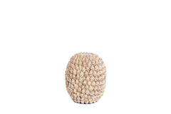 Vase deco Ø15,5x17,5 cm SHELL cream+brown