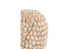 Vase deco Ø15,5x17,5 cm SHELL cream+brown