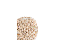 Vase deco Ø13x12 cm SHELL cream+brown
