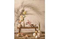Vase deco Ø13x12 cm SHELL cream+brown