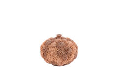 Deco box+deksel Ø20x15,5 cm CORAL perzik-licht bruin