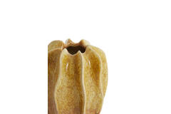 Vase deco Ø17,5x23 cm NILO ceramics ocher yellow-brown