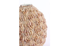 Vase deco Ø25,5x28 cm SHELL sand-taupe