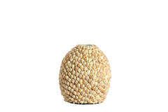 Vase deco Ø33x37 cm SHELL cream-sand