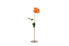 Bloemendisplay deco Ø13x30 cm TUBE antiek brons