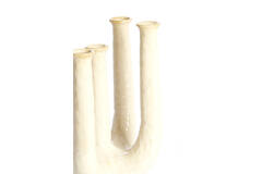 Vase deco 24x18x36 cm LEONJO ceramics sand-beige