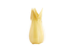 Vase Ø18,5x39 cm EVINA glass beige