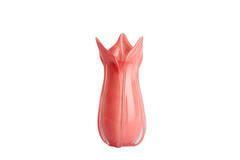 Vase Ø18,5x39 cm EVINA glass coral