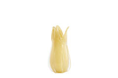 Vase Ø14x28 cm EVINA glass beige