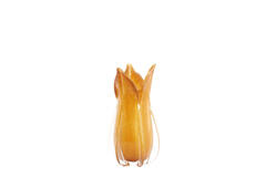 Vase Ø14x28 cm EVINA glass caramel