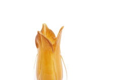 Vase Ø14x28 cm EVINA glass caramel
