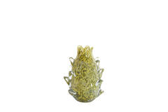 Vase Ø12x16 cm DESMIRA glass green-grey