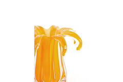 Vase Ø22x17 cm AVENIA glass orange
