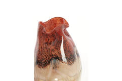 Vase Ø18x32 cm JORIEN glass red+taupe