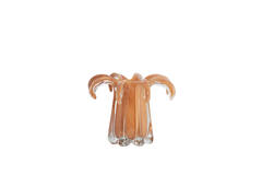 Vase Ø24x19 cm AVENIA glass caramel