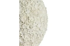Vase deco Ø17x20 cm VIOLETA matt cream