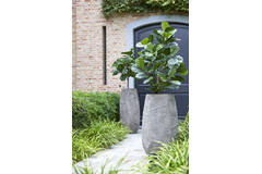 Pot deco 50x47x88 cm AGELO taupe