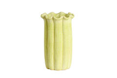Vase deco Ø23,5x38 cm SEDONI ceramics light green