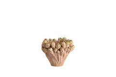 Vase deco Ø28x20,5 cm FYNARA ceramics light pink