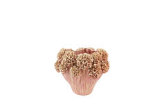 Vase deco Ø38x32 cm LUSERNA ceramics light pink