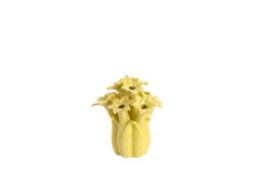 Vase deco Ø21,5x23,5 cm SAMPAGA ceramics yellow