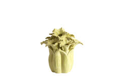 Vase deco Ø26,5x28 cm SAMPAGA ceramics yellow-green