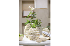 Vase deco Ø20x21 cm SARRIA bamboo+shell cream