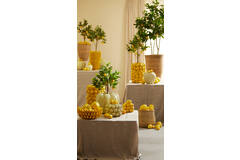 Vaas deco Ø31x41 cm LEMON geel