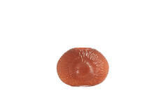 Vase 32,5x10x24 cm CONCHA glass peach