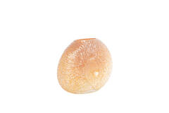 Vase 40,5x11x30,5 cm CONCHA glass peach