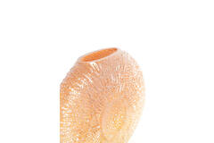 Vase 40,5x11x30,5 cm CONCHA glass peach