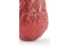 Vase Ø21,5x30 cm TOLMIN glass coral