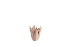 Candle stick Ø11,5x11,5 cm CACTUS ceramics coral