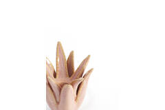 Candle stick Ø11,5x11,5 cm CACTUS ceramics coral