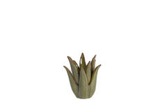 Candle stick Ø11,5x11,5 cm CACTUS ceramics dark green