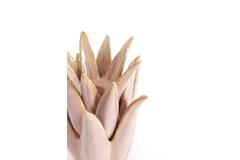 Candle stick Ø13x16 cm CACTUS ceramics coral