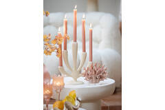 Candle stick 5L 25x11,5x28,5 cm POLINO matt cream