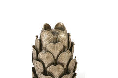 Candle stick Ø13x21 cm CYNARA porcelain bronze
