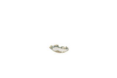 Dish 16x16x3 cm REDIU ceramics cream+olive green