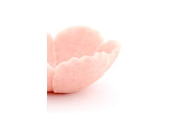 Dish 25,5x24x9,5 cm FRESIA pink